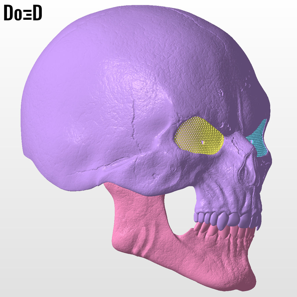 Skeletor Helmet + Collar Masters of the Universe Mask 3D Printable Model #MU773