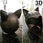 Catwoman Arkham Knight Helmet and Goggles | 3D Model Project #2435