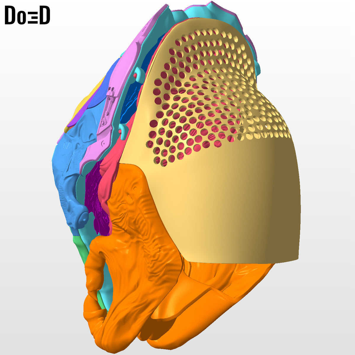 Predator Prey 2022 Helmet | 3D Printable Model STL #P825