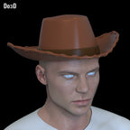Woody Hat Toy Story 6 | 3D Printable Model STL #WTS1
