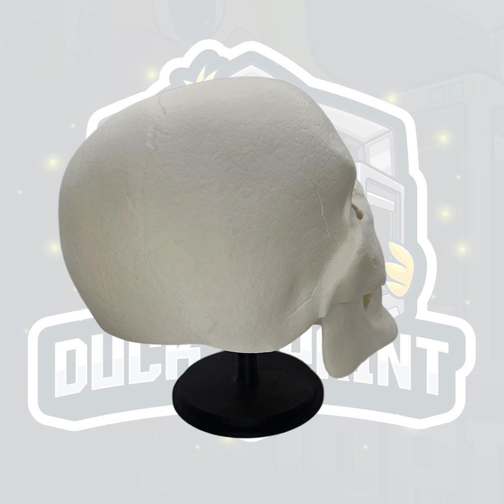 Evil Skull Sorcerer Helmet | Articulated Jaw Skull Mask | 3D Printed Fantasy Villain Cosplay