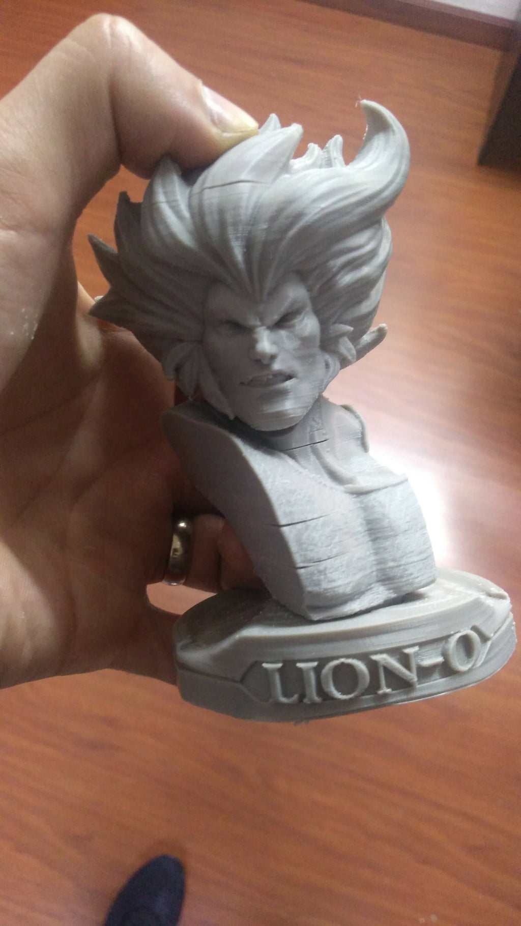Thundercats Lion-O STL for 3D printing Fanart Term 24 CG Pyro 3D models